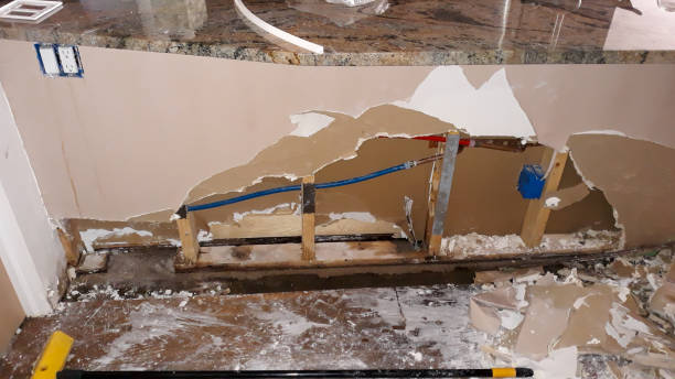 Best Mold removal after water damage  in Coal City, WV