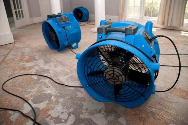 Water damage restoration mold remediation in Coal City, WV