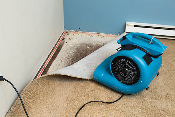 Best 24-hour water damage restoration  in Coal City, WV